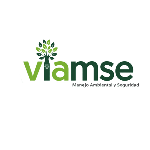 VIAMSE 